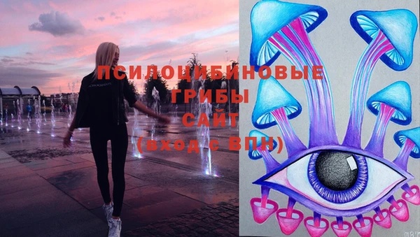 таблы Белокуриха