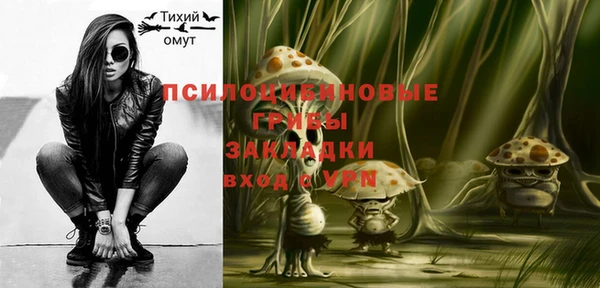 таблы Белокуриха