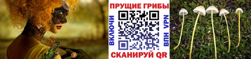 Галлюциногенные грибы мухоморы  кракен сайт  Кубинка  цена наркотик 